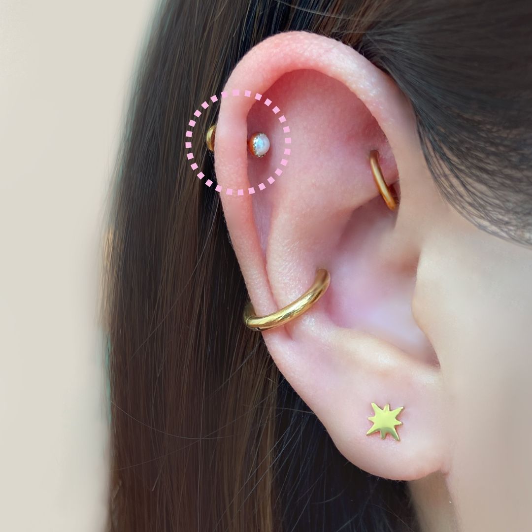 Pearl Gold Bezel Flatback Titanium Earring