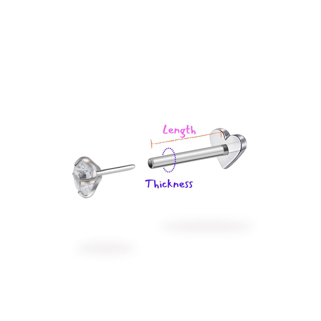 Heart/CZ Titanium Reversible Earring