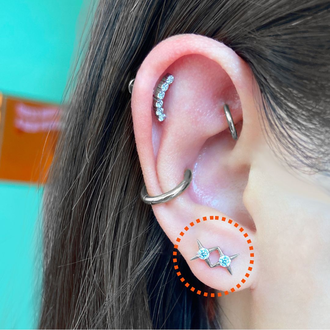 Double Bling Flatback Titanium Earring