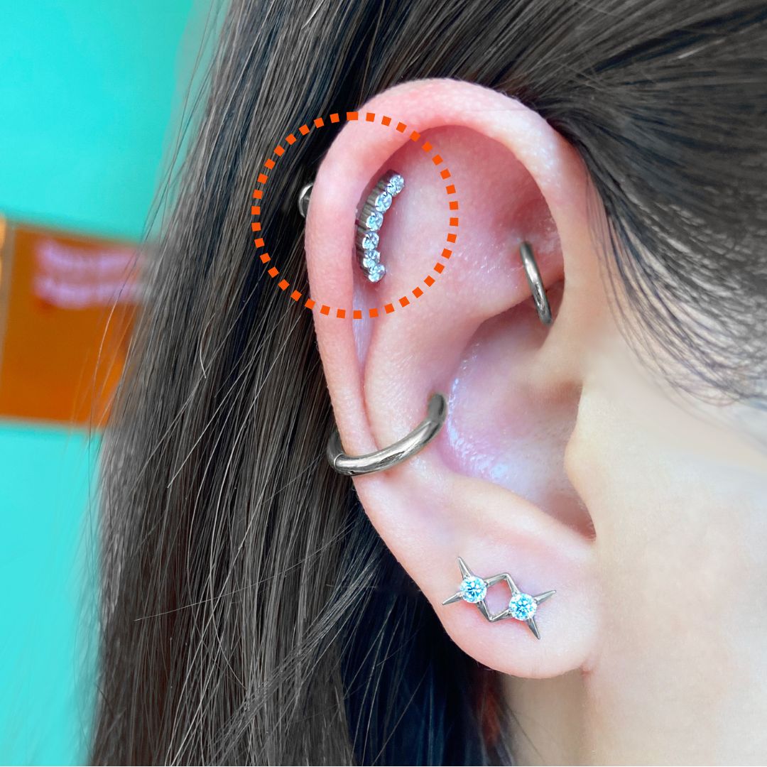 CZ Grand Curved Flatback Titanium Earring