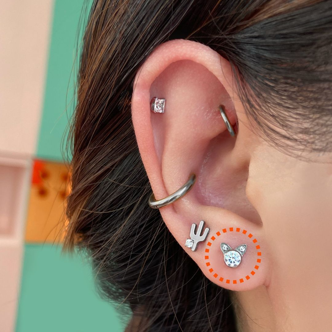 Siamese Cat Flatback Titanium Earring