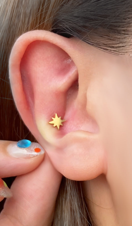 PiJi Logo Star Flatback Titanium Earring