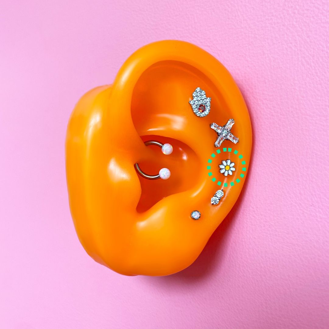 Oh My Daisy Flatback Titanium Earring