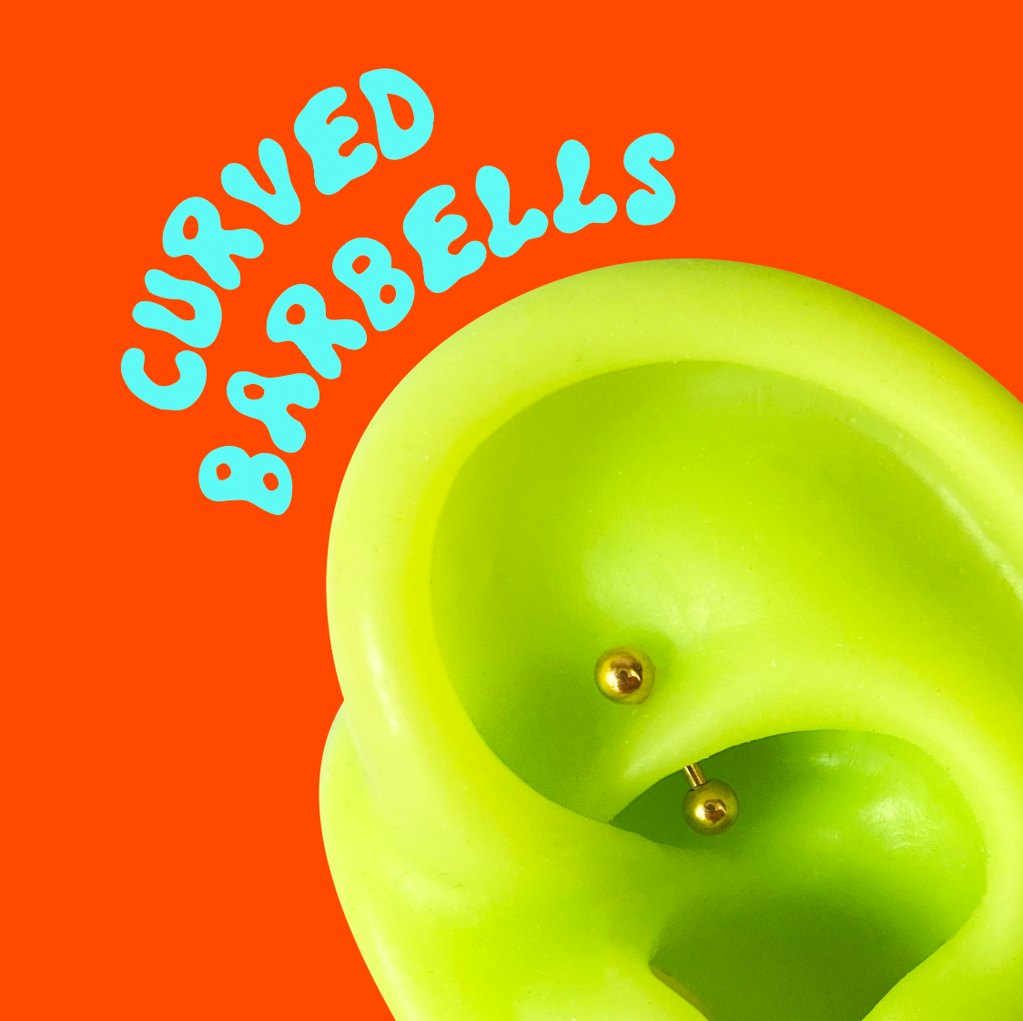 Classic Ball Curved Barbell