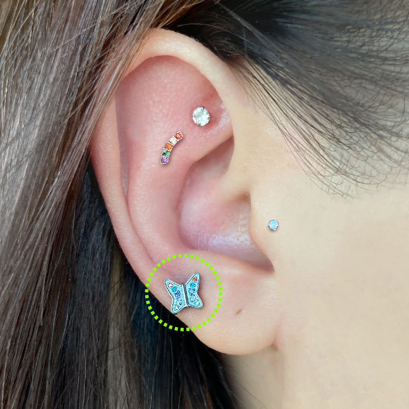 CZ Social Butterfly Titanium Flatback Earring