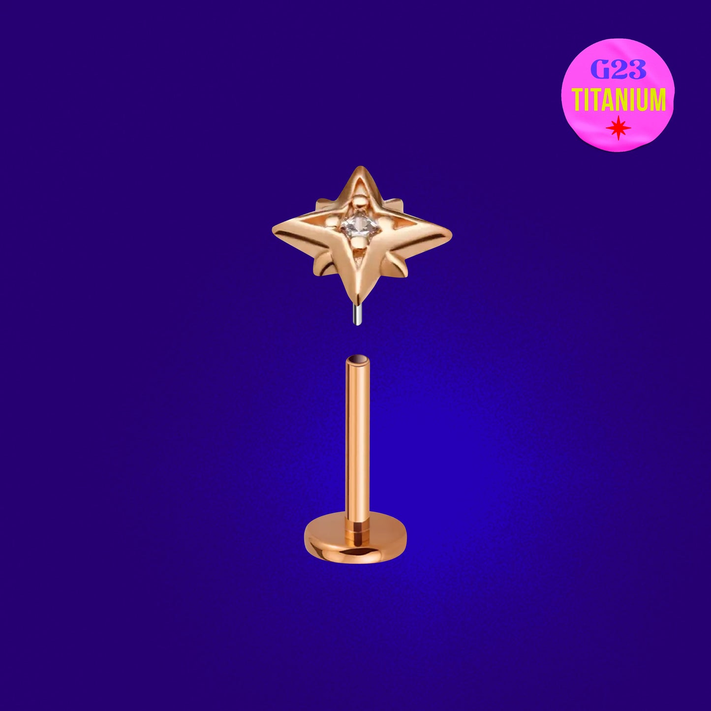 Piji CZ Star Carved Flatback Titanium Earring
