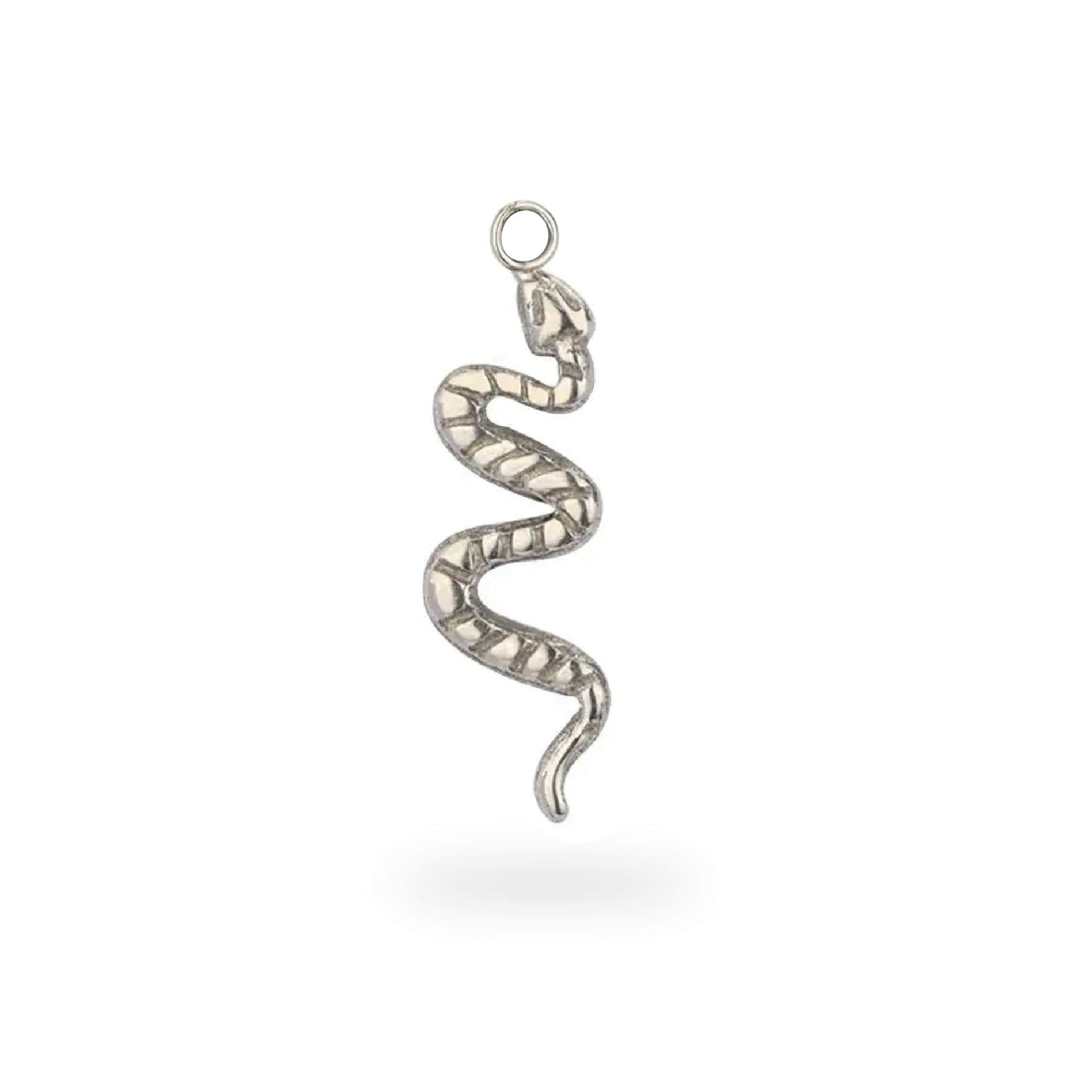 Sassy Snake Charm
