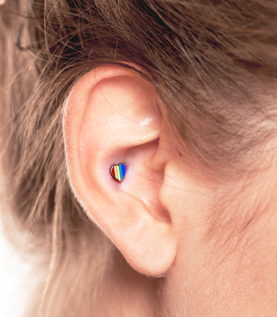 Pride Heart Titanium Flatback Earring