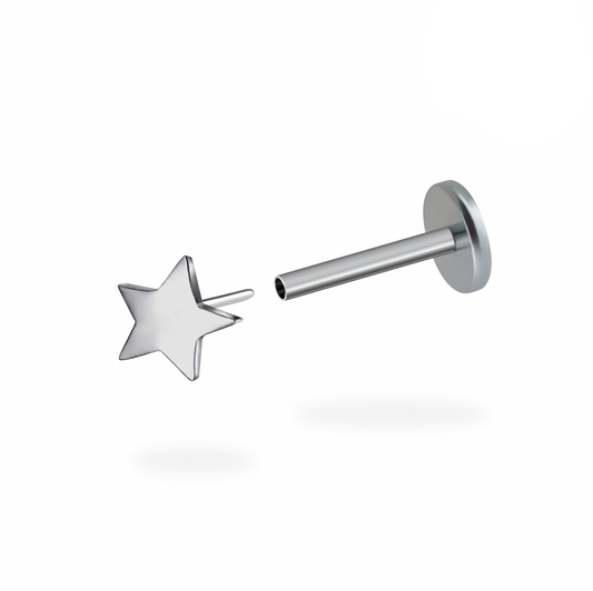 Star Flatback Titanium Earring